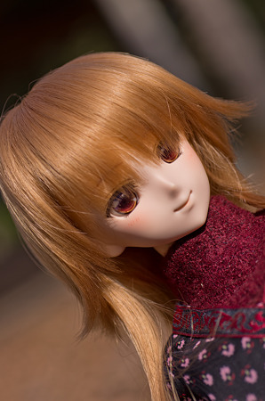 IMGP4831