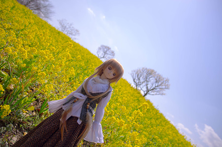 IMGP6448