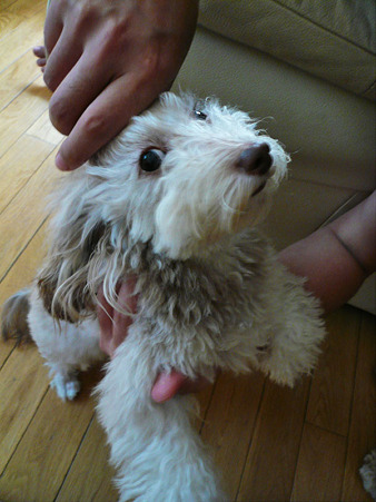 111010_miracle