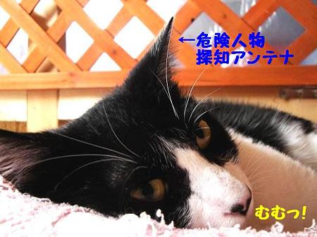 うわっ・・・危険人物接近中!