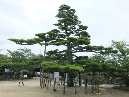 松山城11