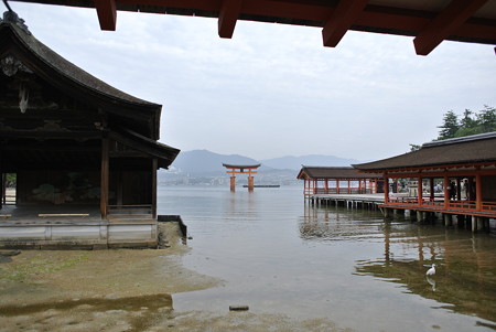 宮島昼の部