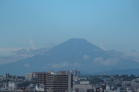 2015.07.22　山手　外交官の家　庭から富士山