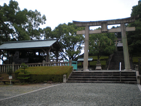 resize0239
