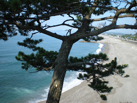 浜