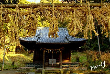 大百足を模した注連縄・・白山神社(鎌倉)・・11