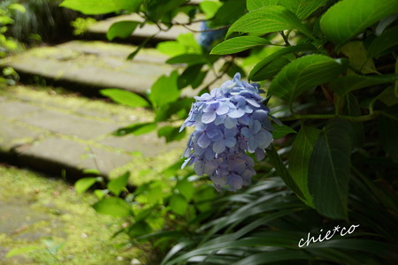 鎌倉-381