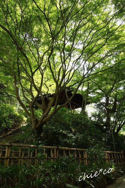 鎌倉-405