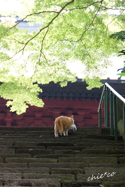 鎌倉-412