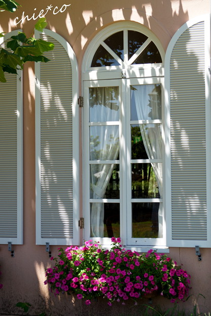 DSC05369-001