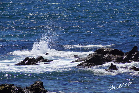 DSC05446-001
