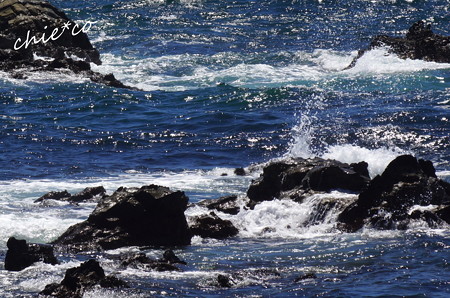 DSC05479-001