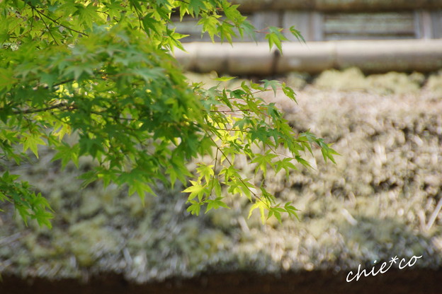 東慶寺-086