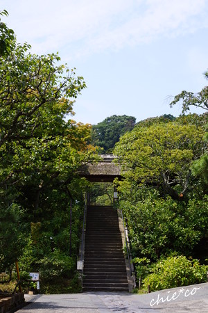 東慶寺-126