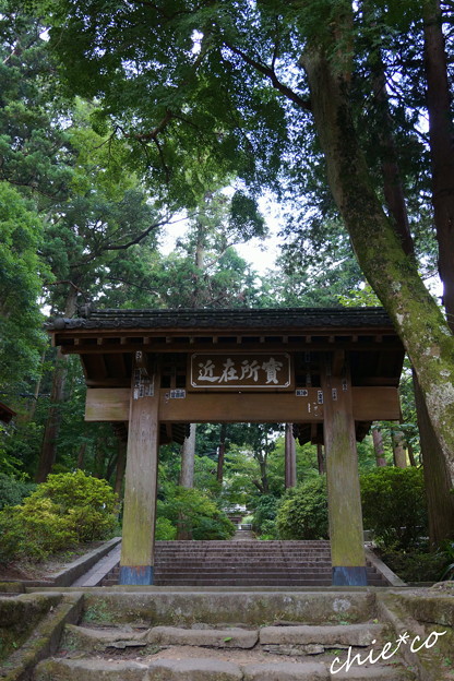 浄智寺-208