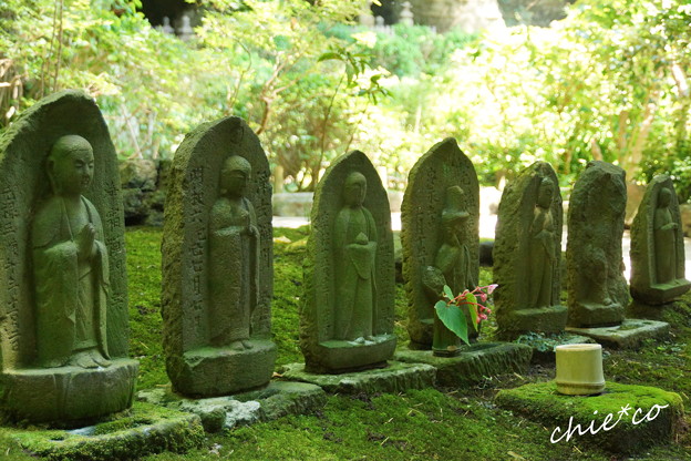 報国寺-158