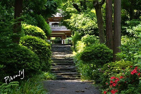 浄智寺にて・・3