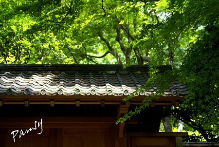 浄智寺にて・・4