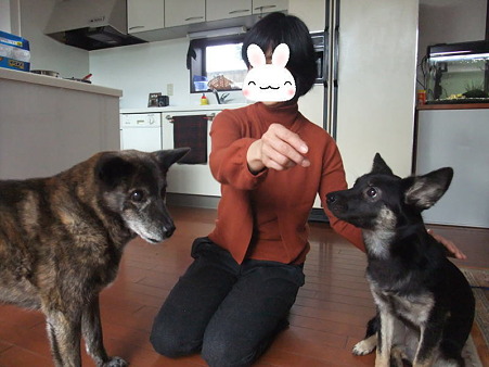 写真撮影の時間だよ~