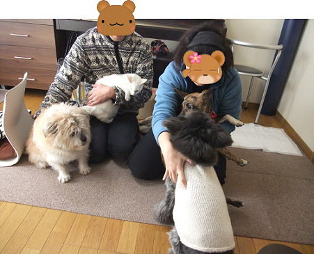 4匹もいると・・