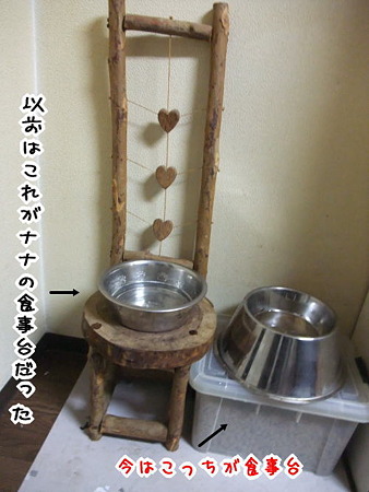 ナナの食事場