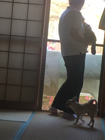 ほら、お外よ~