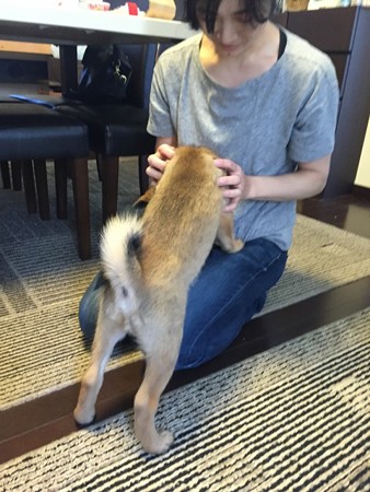 だれでしゅか?