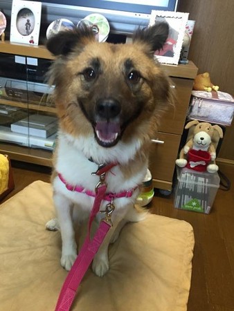 そう、少しずつ・・・