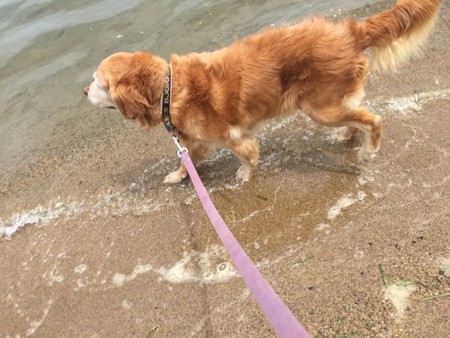 メイさん、湖初デビュー!