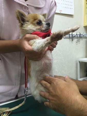 されるがまま(笑)