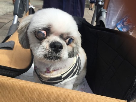 一歩