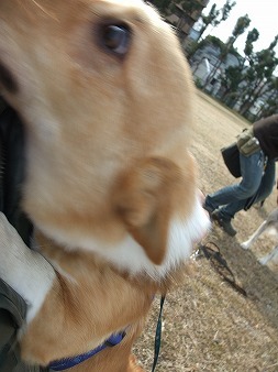 スキ!