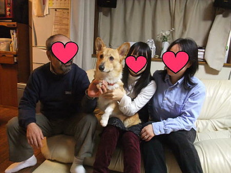 元気の家族