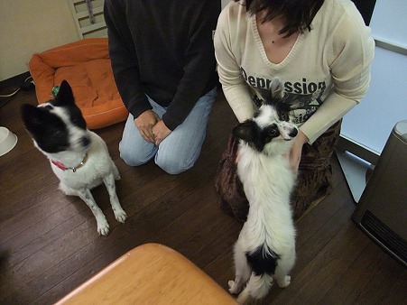 分かるかな?