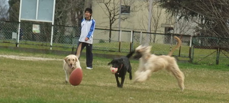 犬達~♪