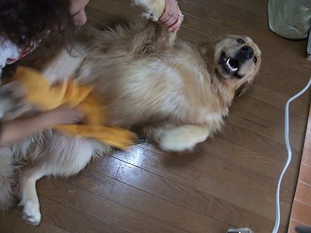 とっても明るい子♪