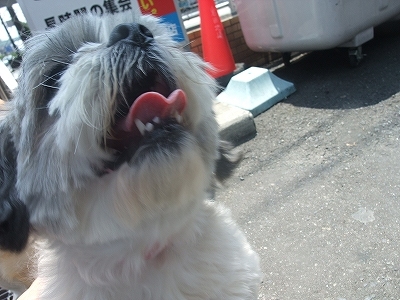 私は元気よ~~
