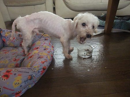 食欲モリモリの