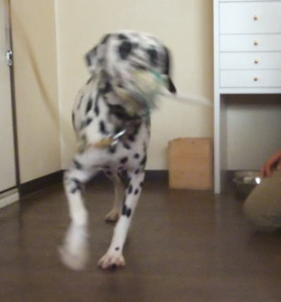 一人遊びも