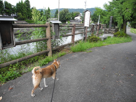 2015-08-21-10