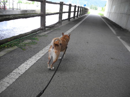2015-08-21-12