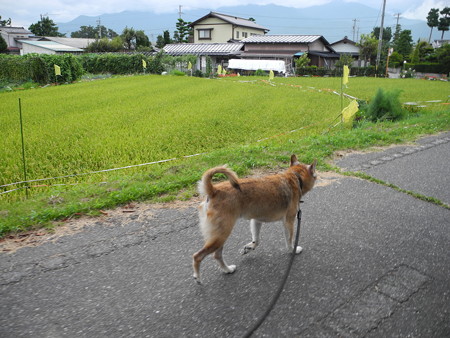 2015-08-21-21