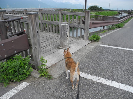2015-08-22-08