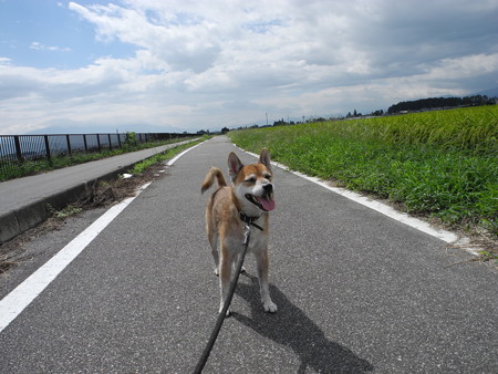 2015-08-22-11