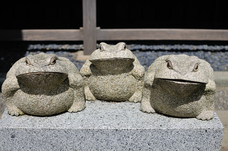 三匹のカエル。
