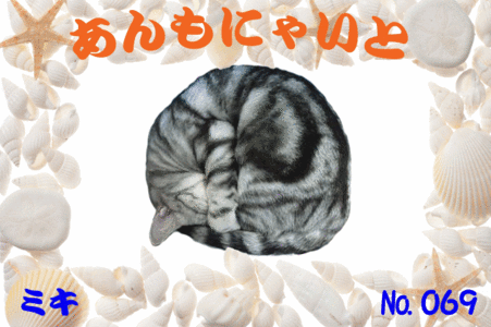ミキちゃん