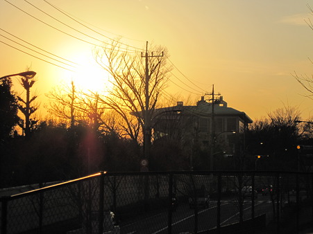 夕陽・プログラムAE