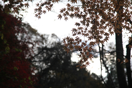 玄武洞公園 - 06