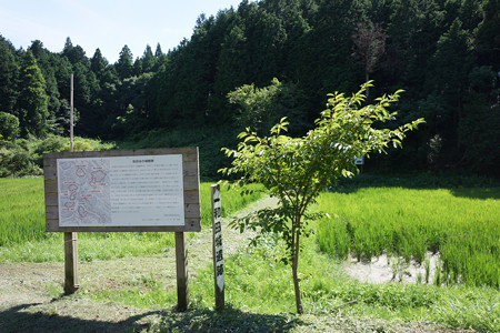 和田城 - 01