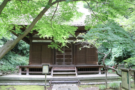 三渓園・天授院 - 15